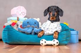 Squeaky Bed Toys